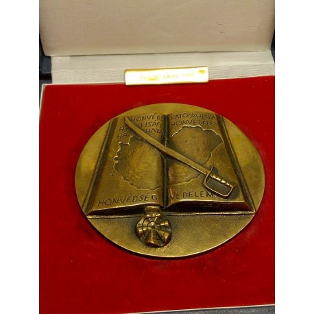 Hatalmas méretű honvédségi bronz plakett, szablyával, Magyarország térképével, eredeti tokjában.